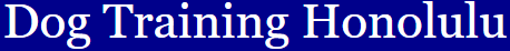 Dog Training Honolulu
